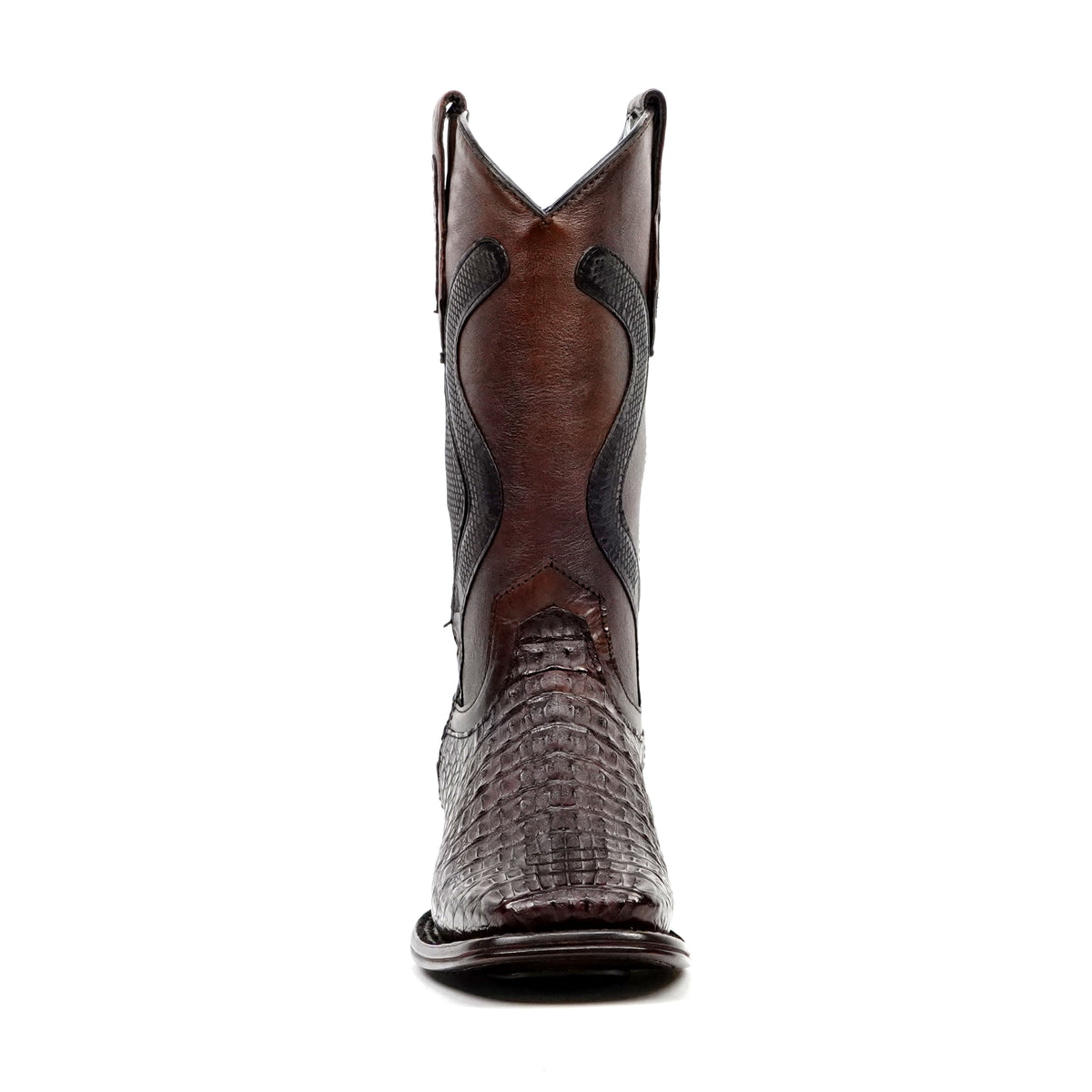 Caiman Lomo Café Diamante Rodeo H-501 - Gomez Western Wear