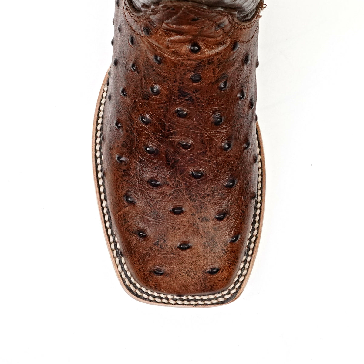 Ostrich Choco Boots (Youth) - Embossed Leather - Square Toe (E424)