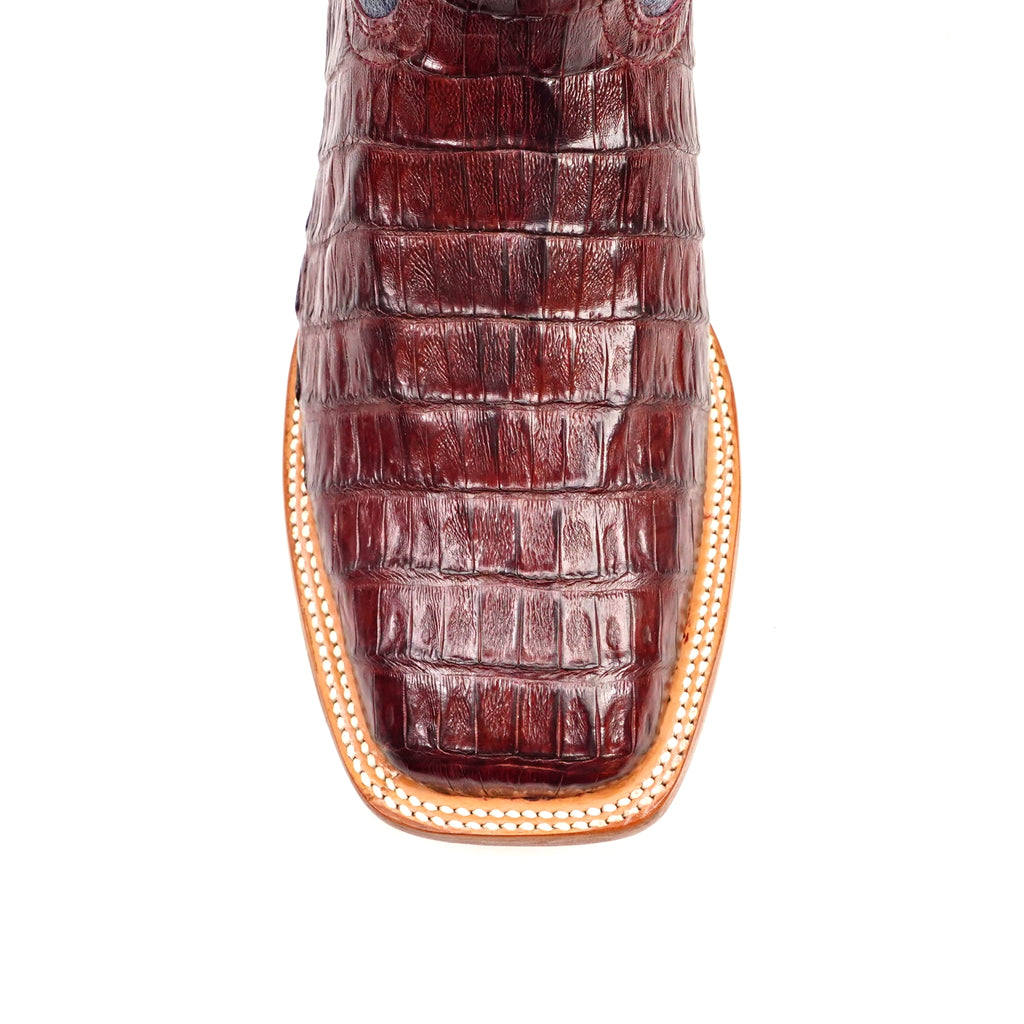 E02 Cola Caimán Vientre Vino