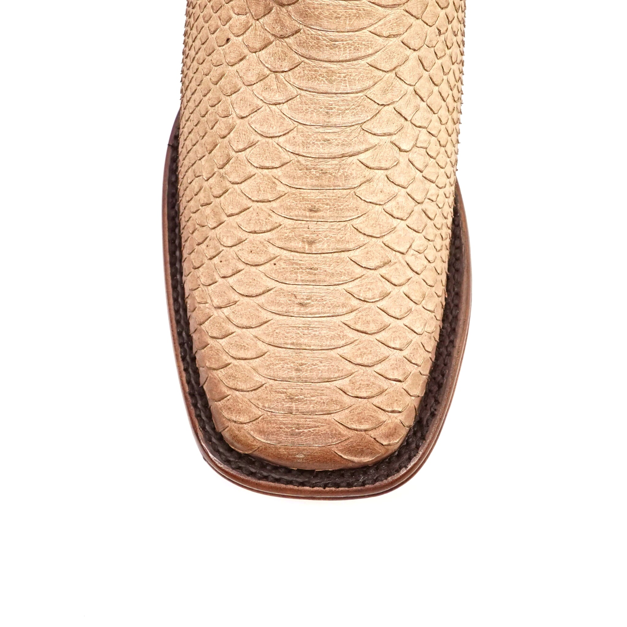 Tanner Platinum Python Boots - Cappuccino - Square Toe