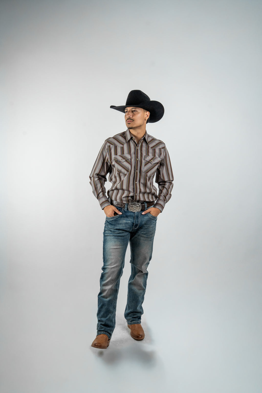 Texas Country - Brown Western Stripes Pearl Snap Long Sleeve Shirt (PS700L/T #7001)